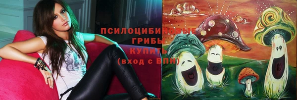 амф Арсеньев