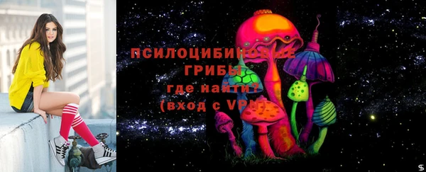 амф Арсеньев