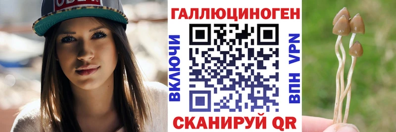 где купить   Ивангород  Псилоцибиновые грибы MAGIC MUSHROOMS 